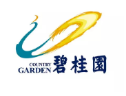 永定碧桂园地产